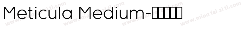 Meticula Medium字体转换